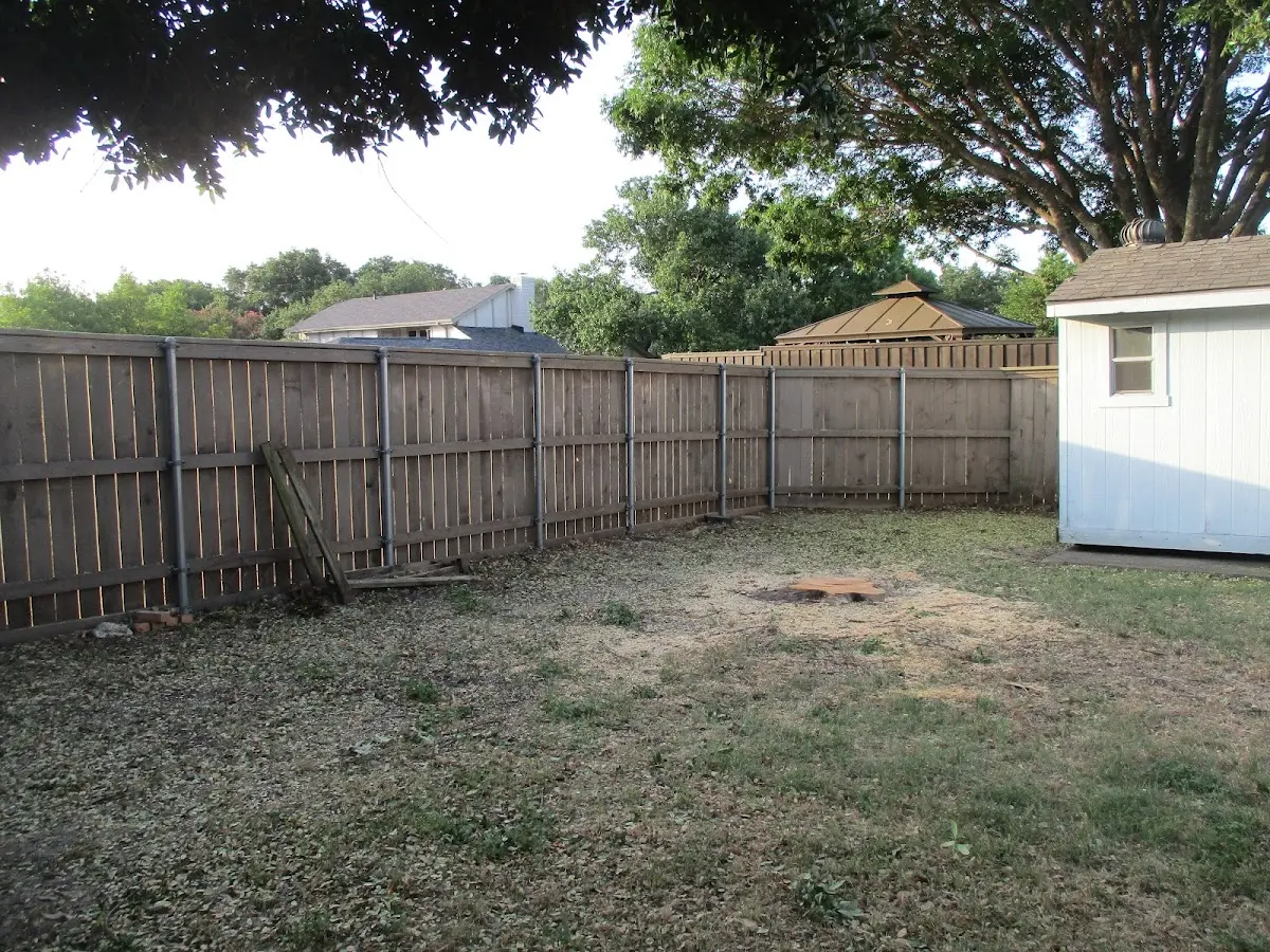 Cleared yard after professional tree removal in Phillips